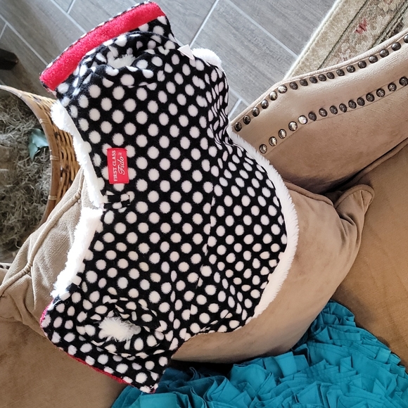 Dog outfit - Picture 2 of 6